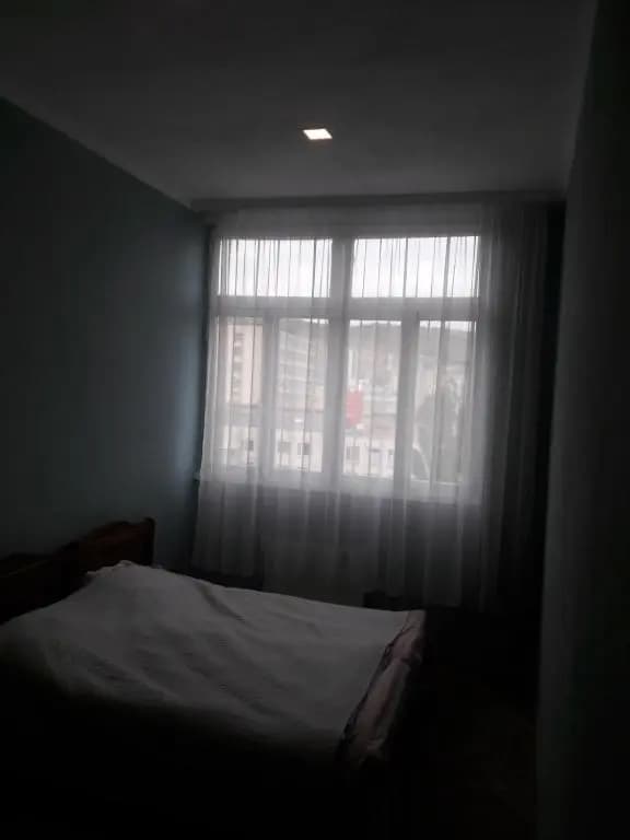 Elma - photo 2