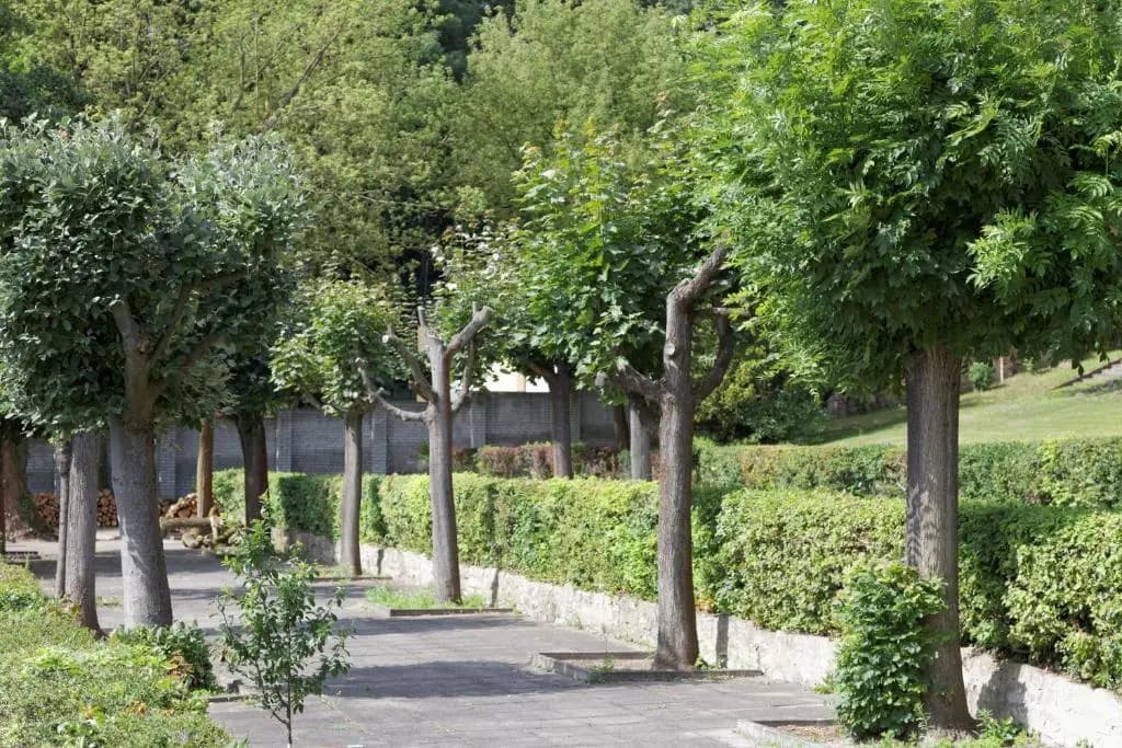 Wassersport-Appartements am Stößensee - photo 9