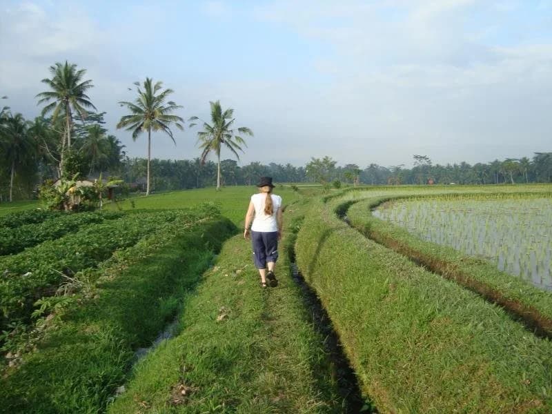 Villa Ibu Rama Ubud - photo 20