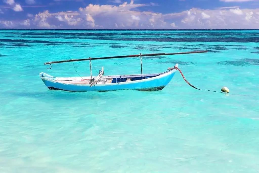 Ahola Thoddoo - photo 9