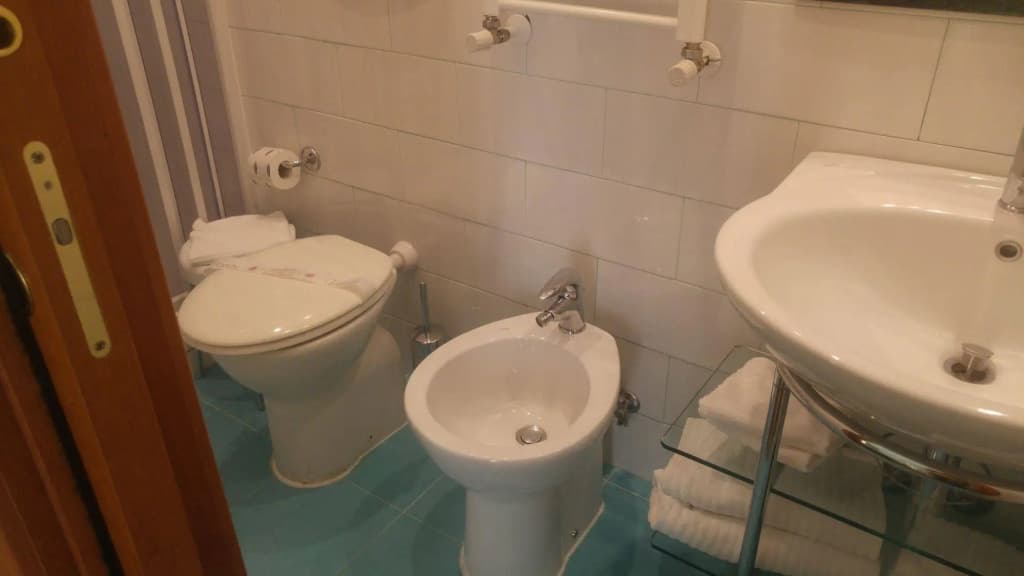 Hotel Piemonte - photo 10