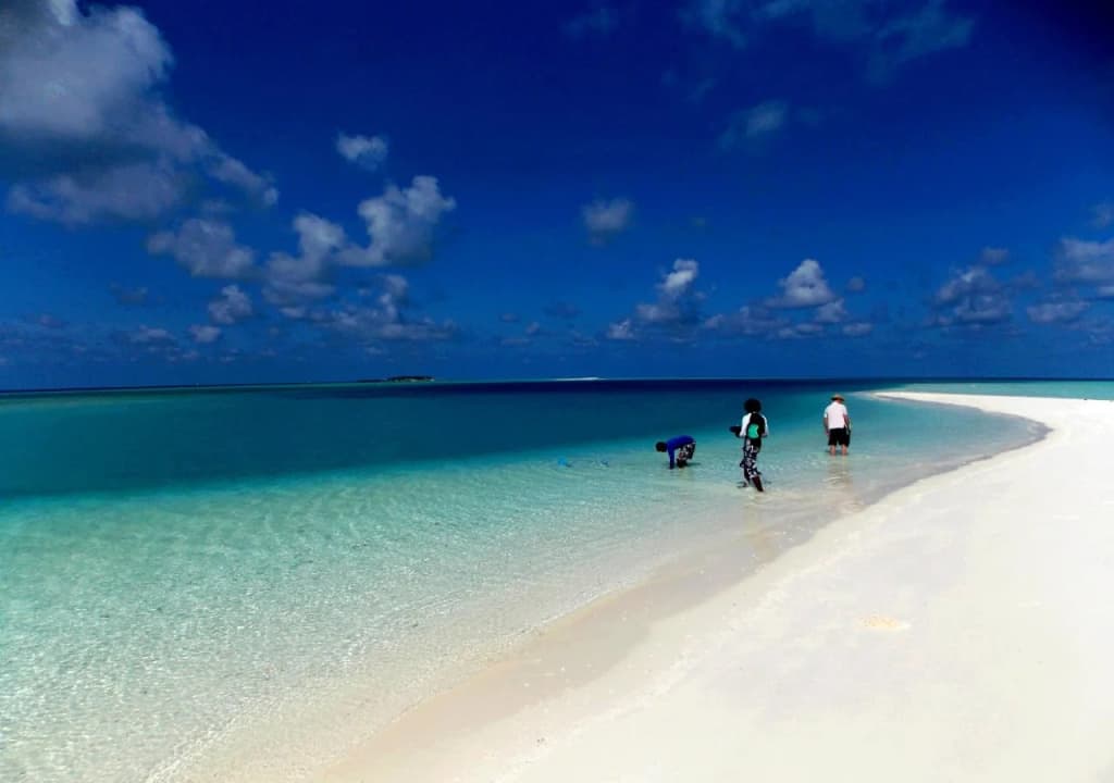 Rasreef Rasdhoo Maldives - photo 18