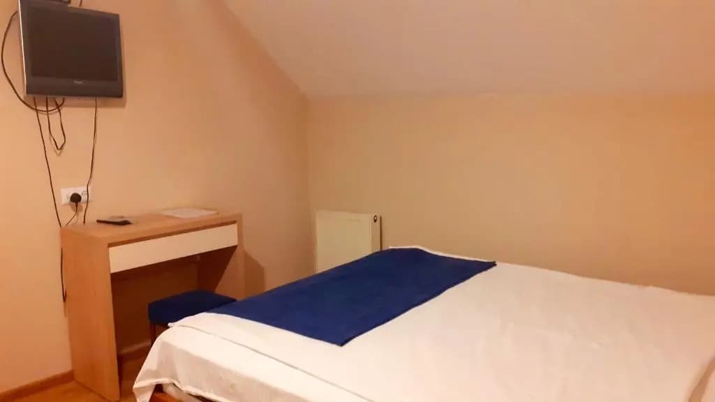 Hotel Lile - photo 5