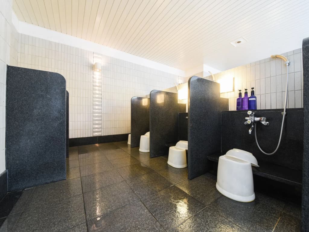 Forest inn Showakan (Okura Hotels & Resorts) - photo 11