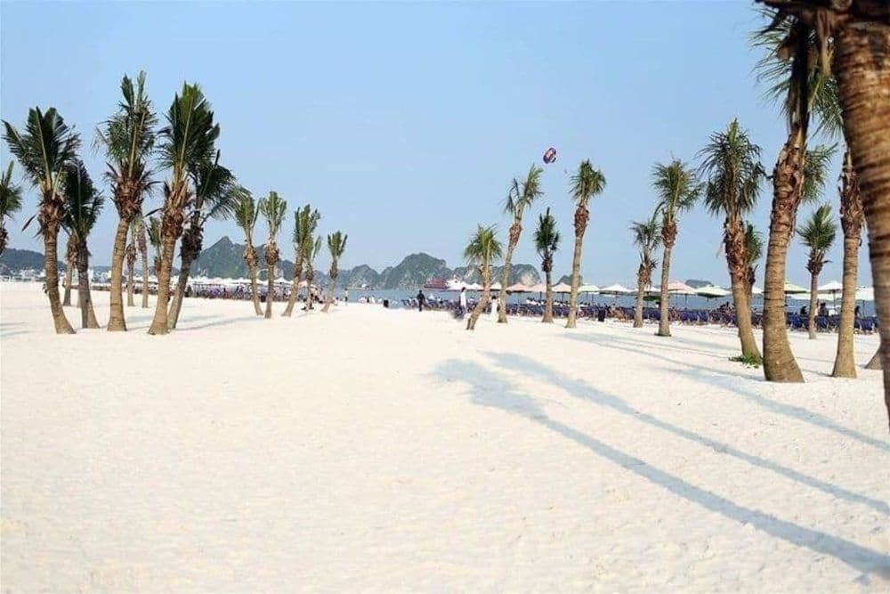 Padama Hotel - photo 11