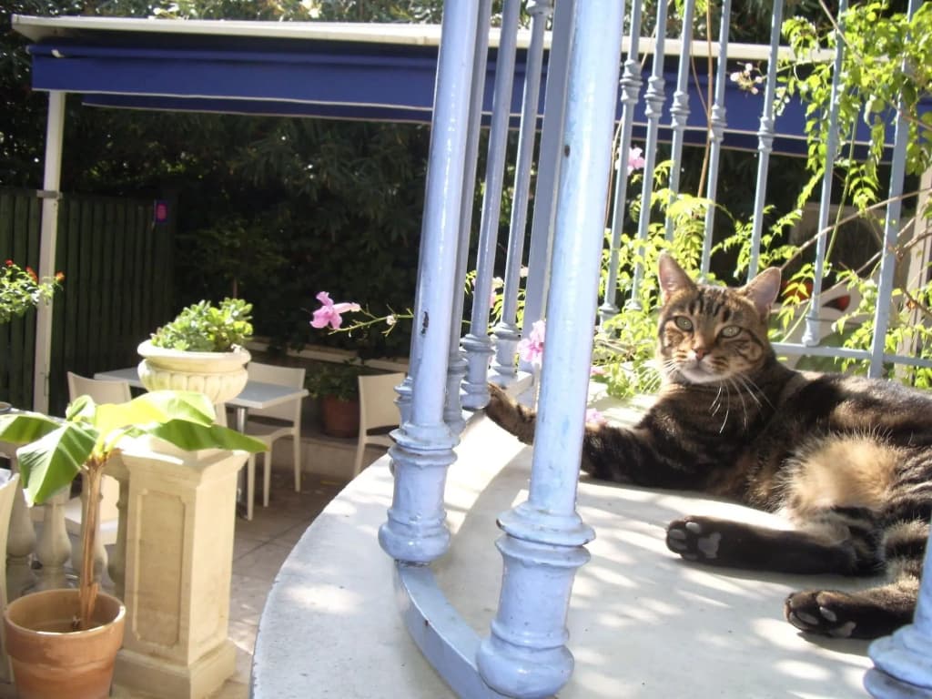 Villa Saint Hubert - photo 9
