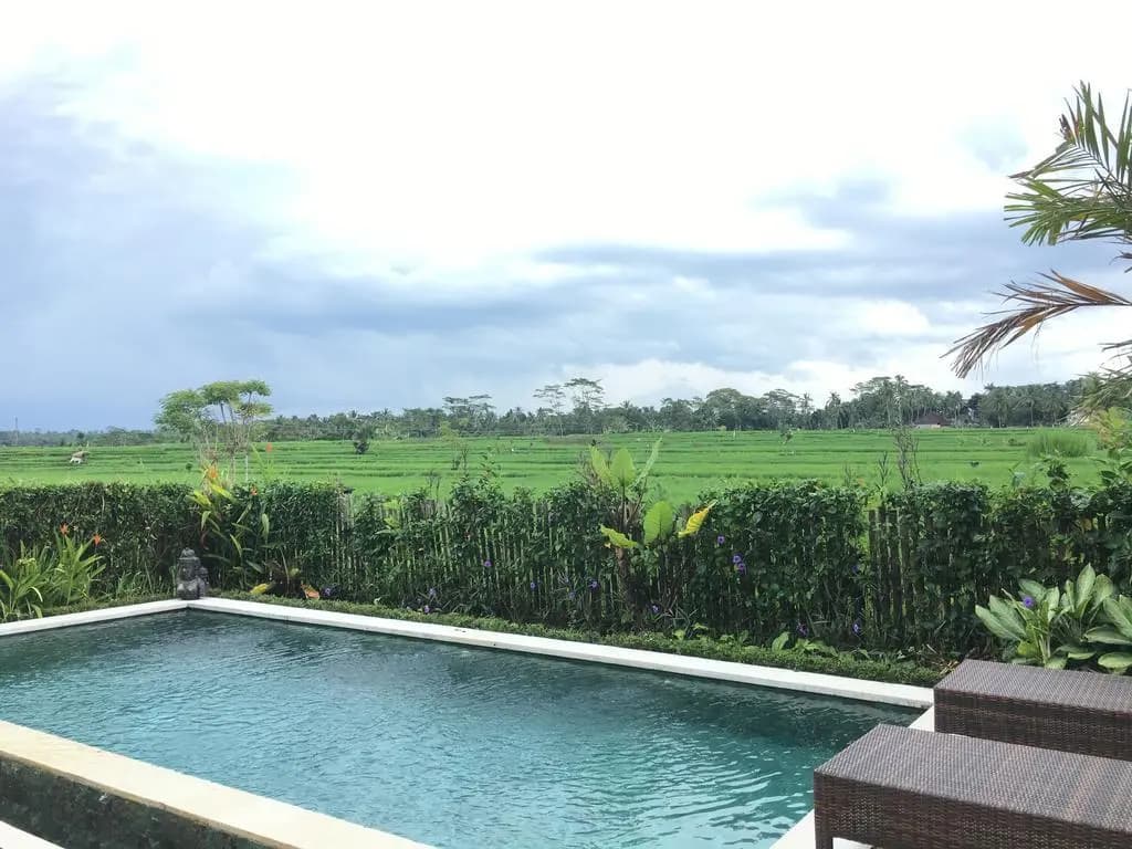 Ubud Rice Field Villa - photo 9
