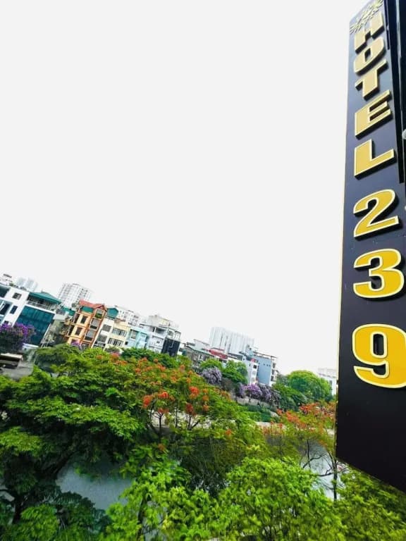 239 Hotel - photo 17