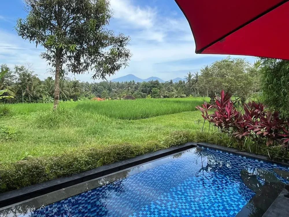 Maple Ridge Ubud Villas - photo 30