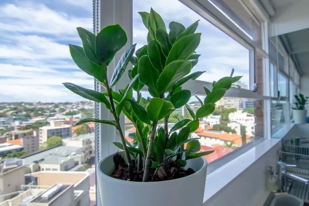 Bright 1 Bedroom Studio With Amazing City Views - photo 8