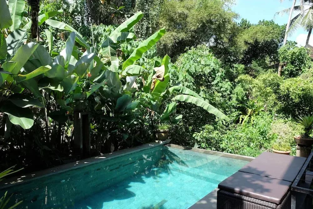 Suastika Bed and Breakfast - photo 11
