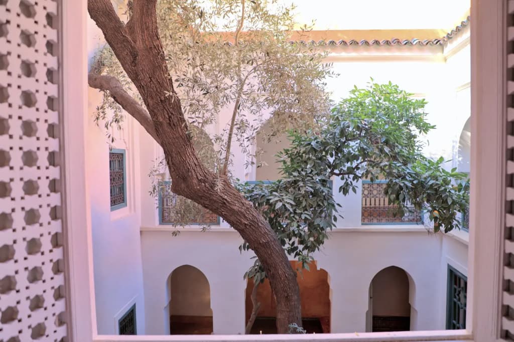 Riad Dar Zitouna en Exclusivité - main photo