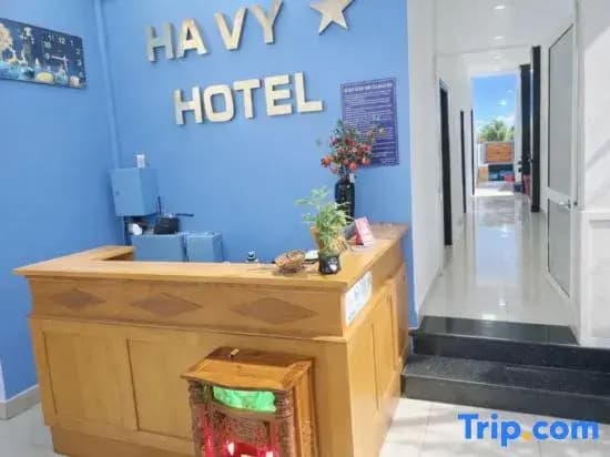 Ha Vy Hotel Quan 9 - photo 1