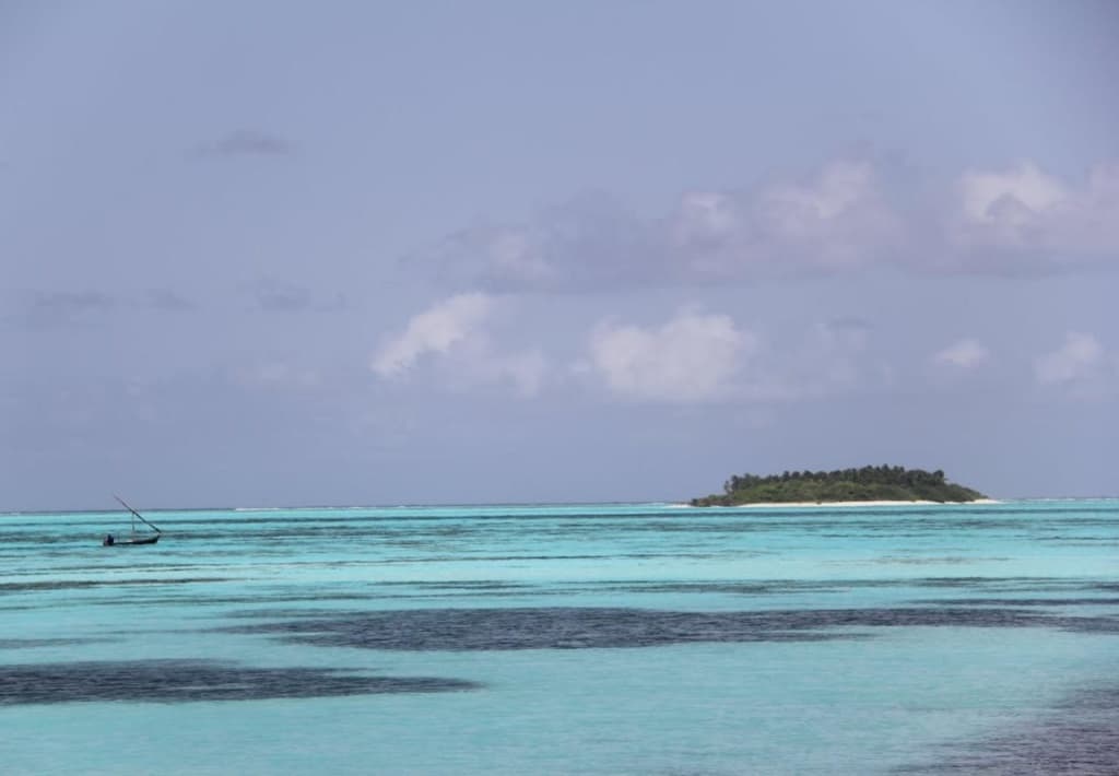 Plus View Maldives - photo 11