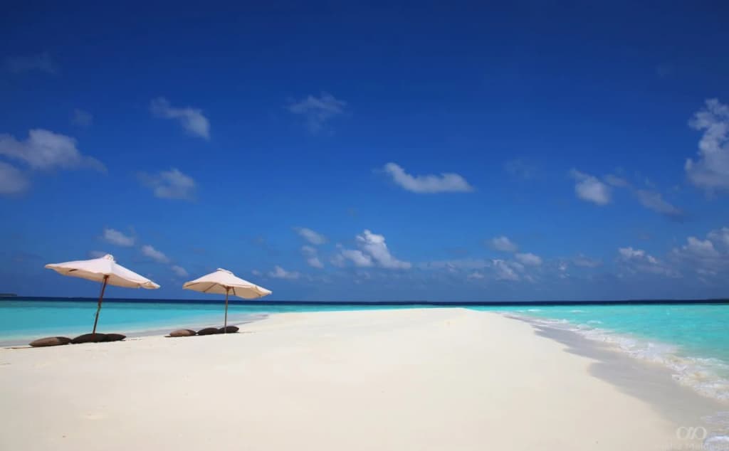 EM Beach Maldives - photo 10