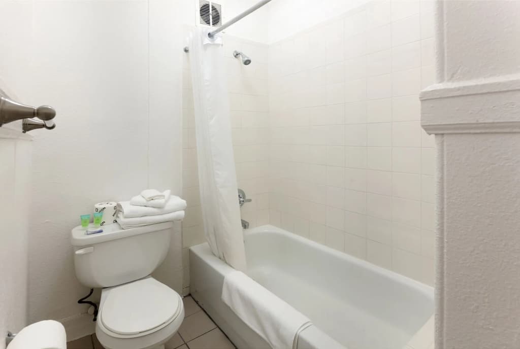 Hotel Ikon - photo 7
