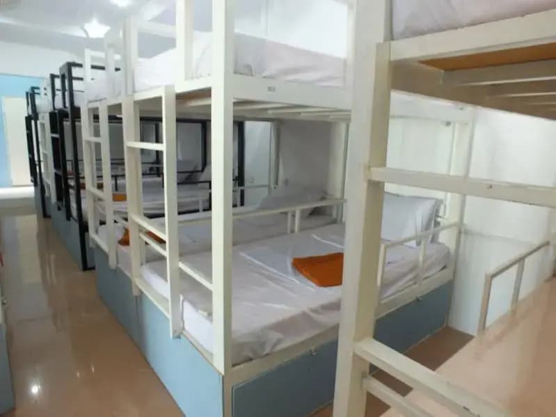 Moonlight Kiss Hostel - photo 4