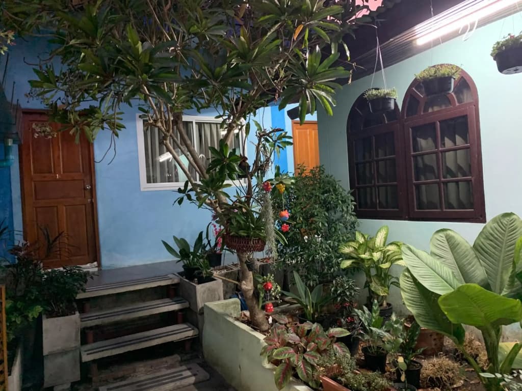 D Heart Homestay - photo 15