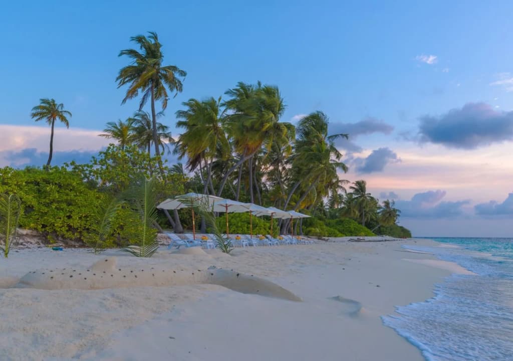 Sabba Summer Suite Maldives - photo 14