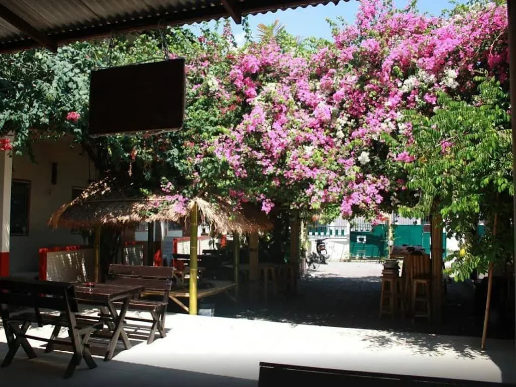 Lek Guesthouse - photo 3