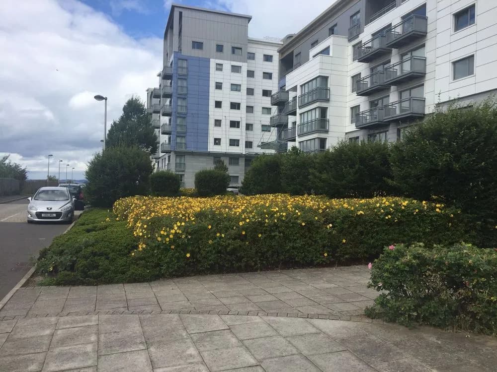 Stylish Garden View Apartment - photo 1