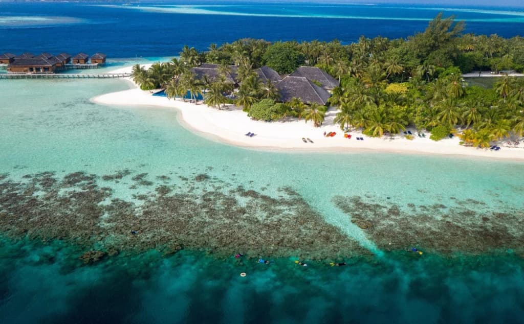 Vilamendhoo Maldives Resort Island - photo 25