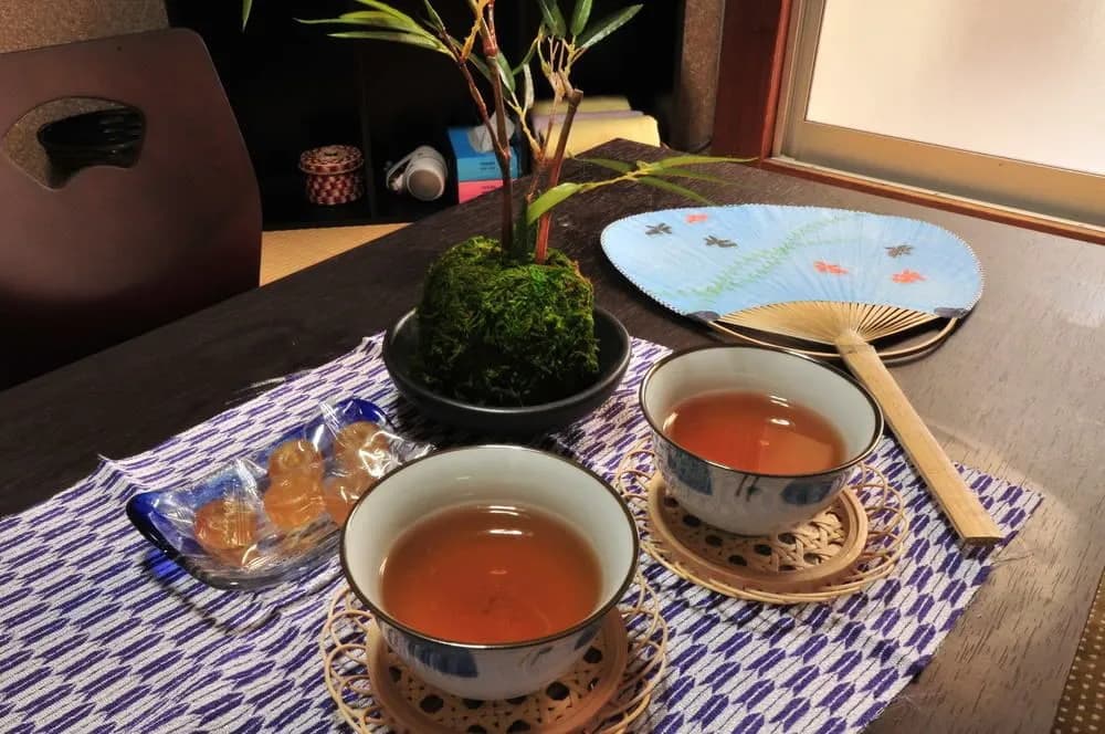Oyado Shogoin - photo 12