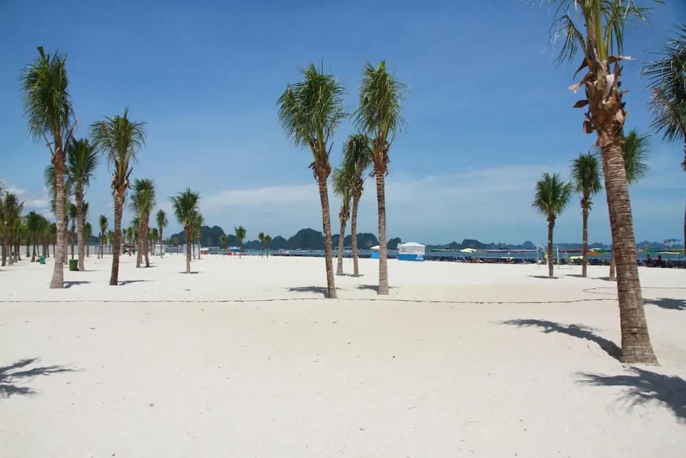 The Marine Hotel - photo 28