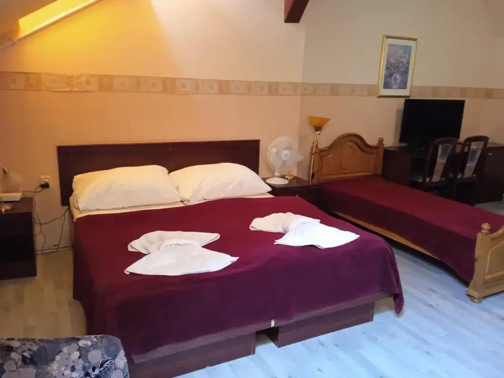 Hotel Victor - photo 8