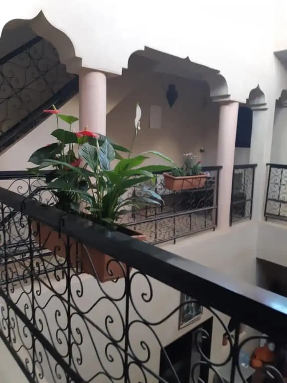 Riad Zinnha - photo 14