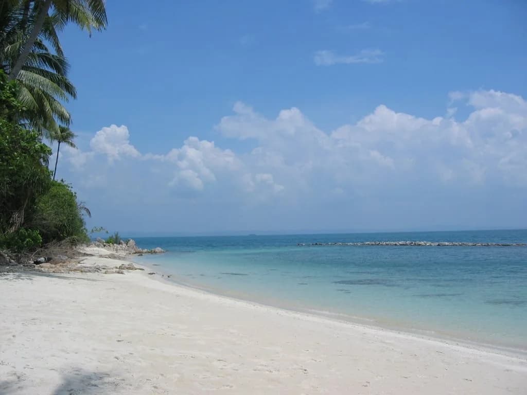 Sibu Island Resort Johor - photo 14