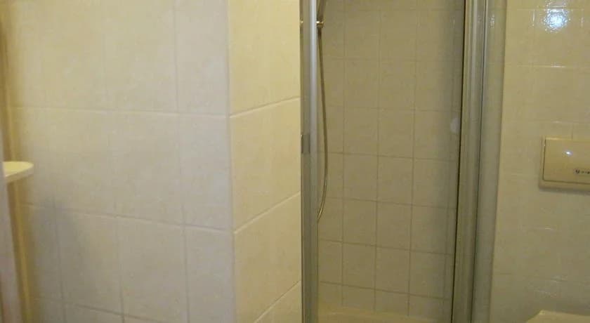 An den Birken - photo 7
