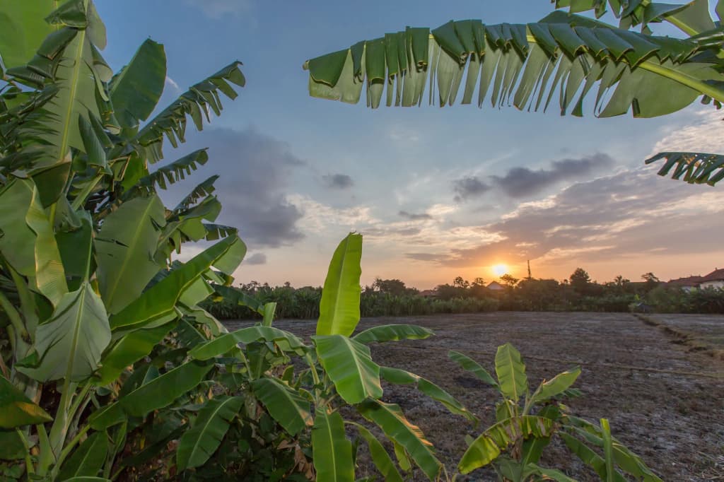 Gajah Villas Bali by Nagisa Bali - photo 22