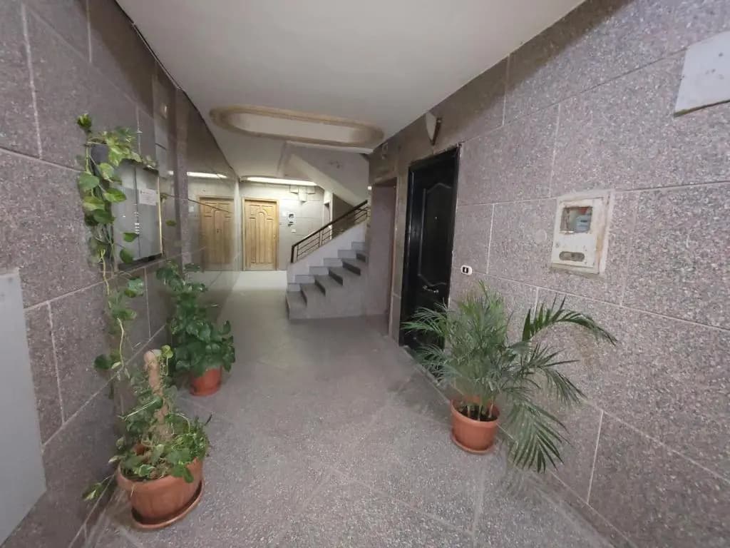 exceptional apartment - photo 9