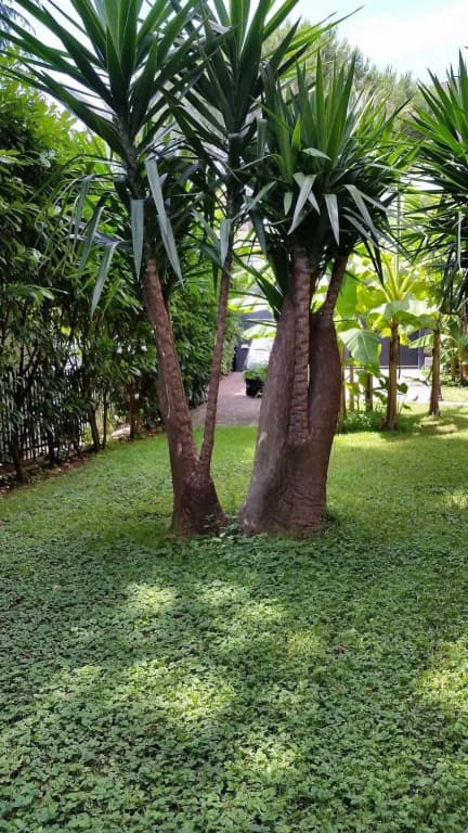 Il Giardino di Giulia 2 - photo 39