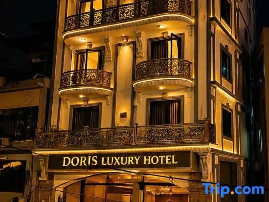 Doris Luxury Hotel - photo 4