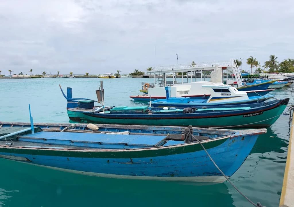 Dhiffushi Tourist Hotel - photo 8