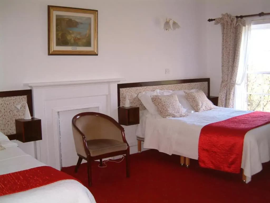 Terrace Hotel - photo 5