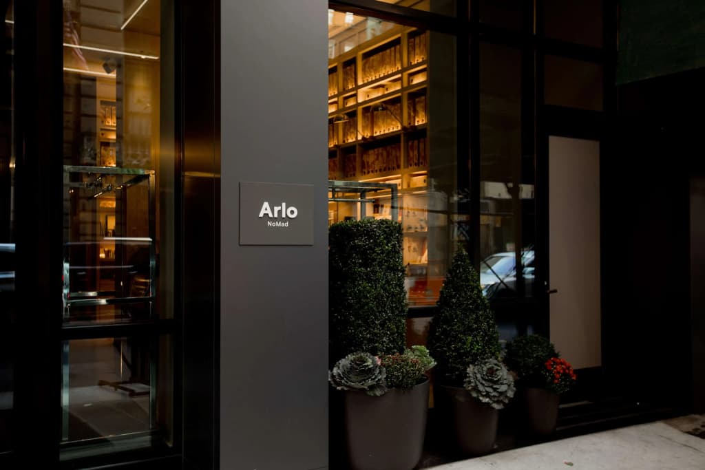 Arlo NoMad - photo 1