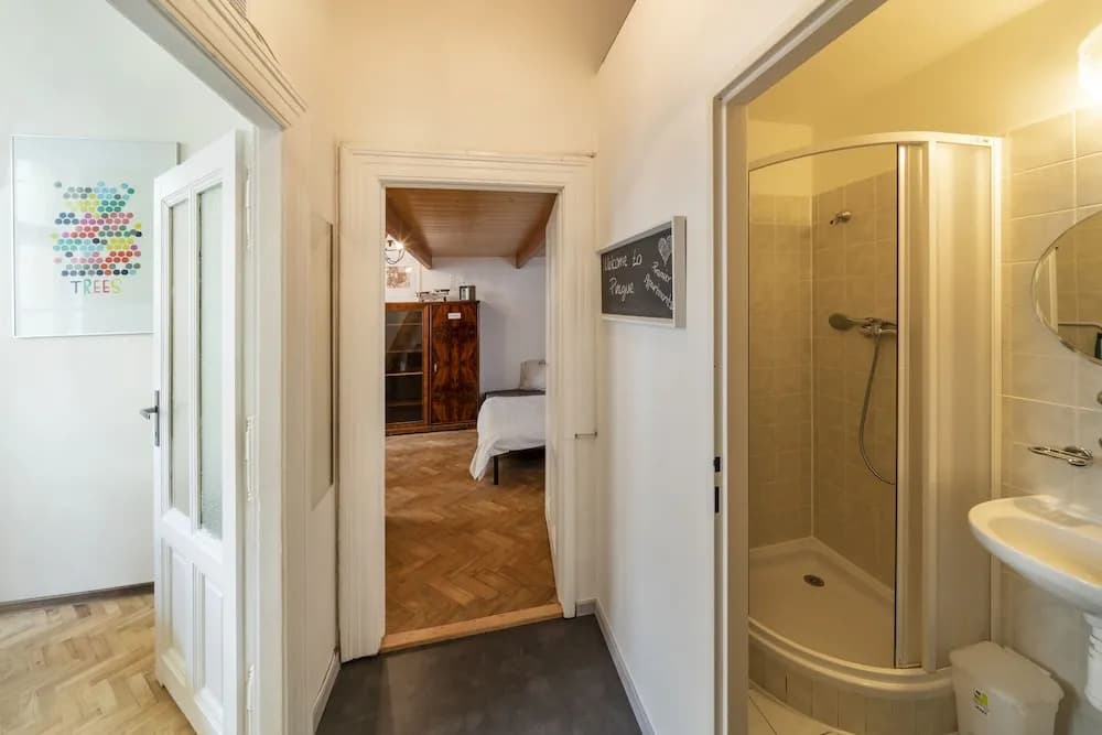 Premier Apartment Vodickova - photo 8