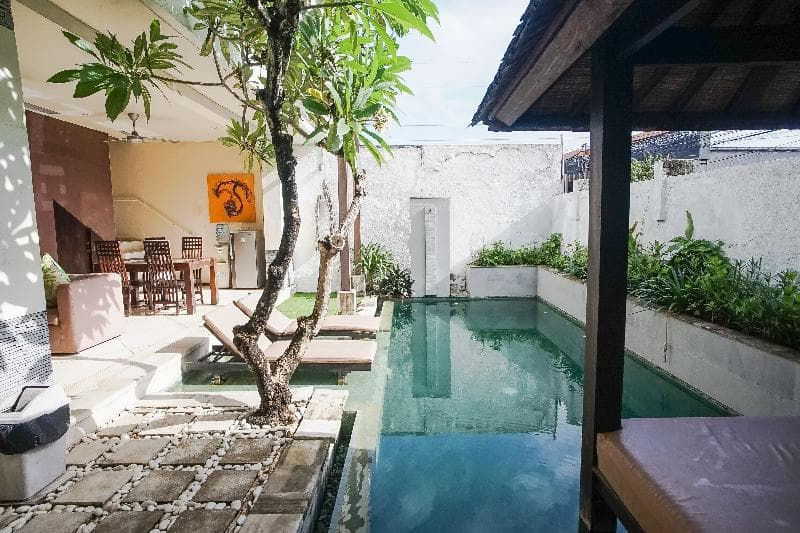 Queen Rose Villa & Spa - photo 25