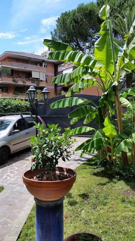 Il Giardino di Giulia 2 - photo 15