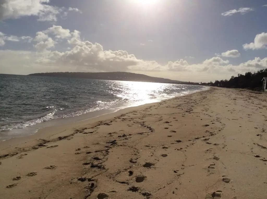 Beach Front Springs - photo 8