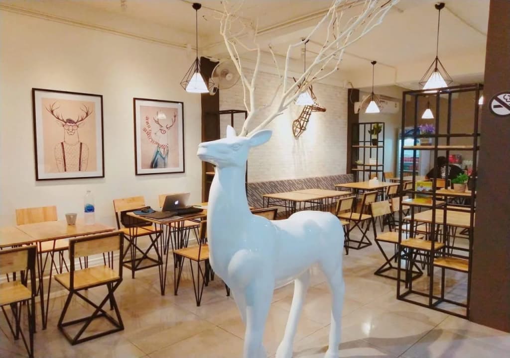 Cha Cha Cha Hostel - photo 13
