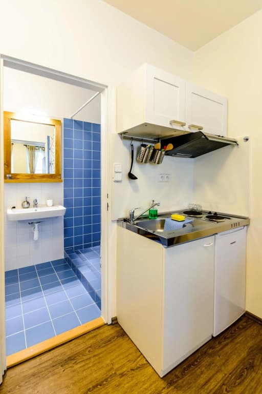 Zizkov Cosy Studio Apartments - photo 36
