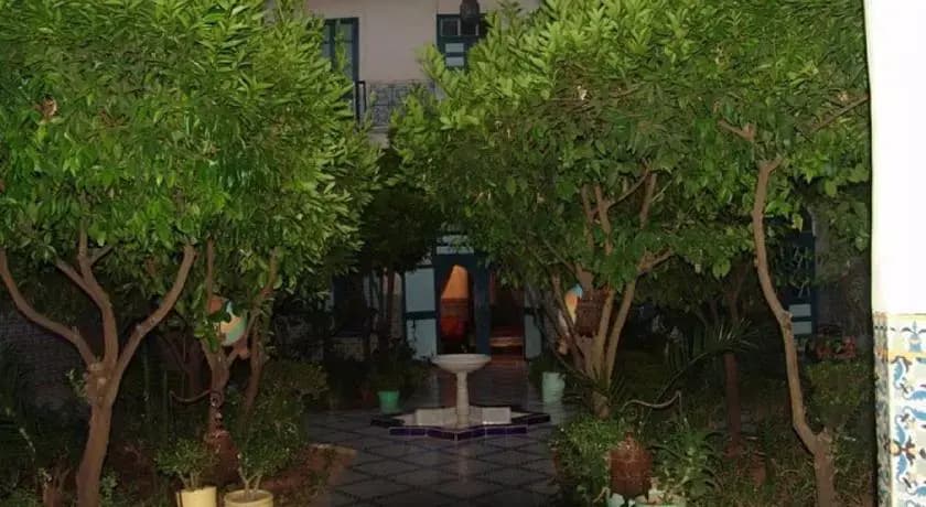 Riad Arij - photo 7