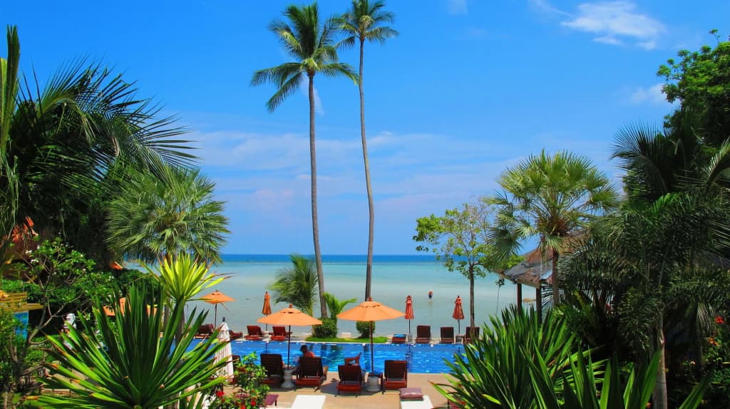 Palm Coco Mantra - photo 19