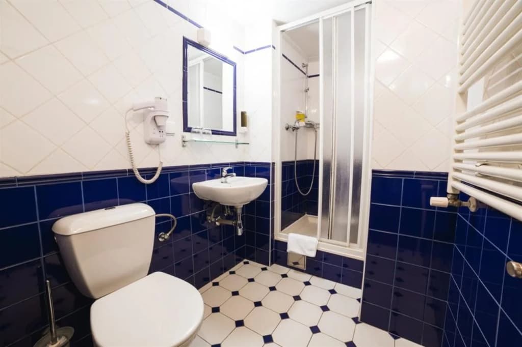 Hotel Dalimil - photo 9