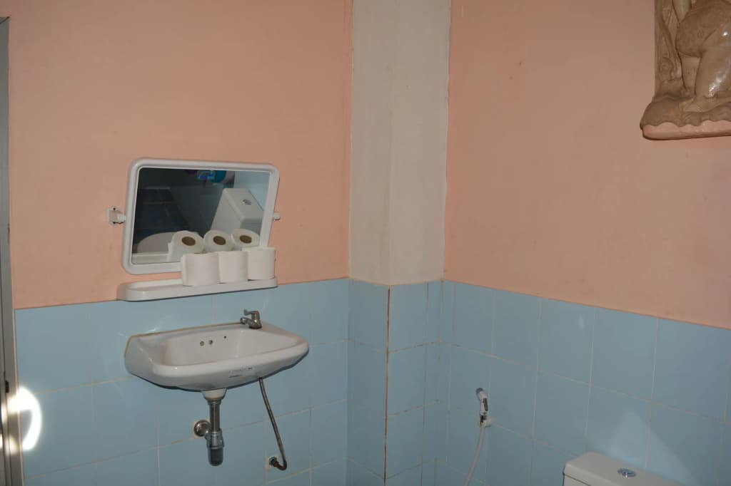 Little Austria Tams Guesthouse - photo 8
