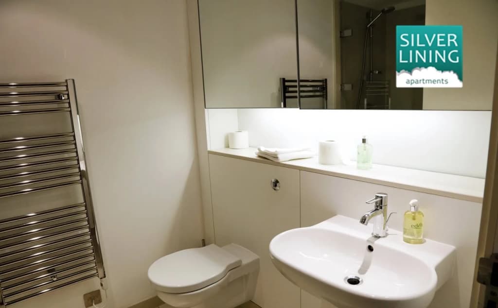 Silver Lining - Mile Apartments - photo 6